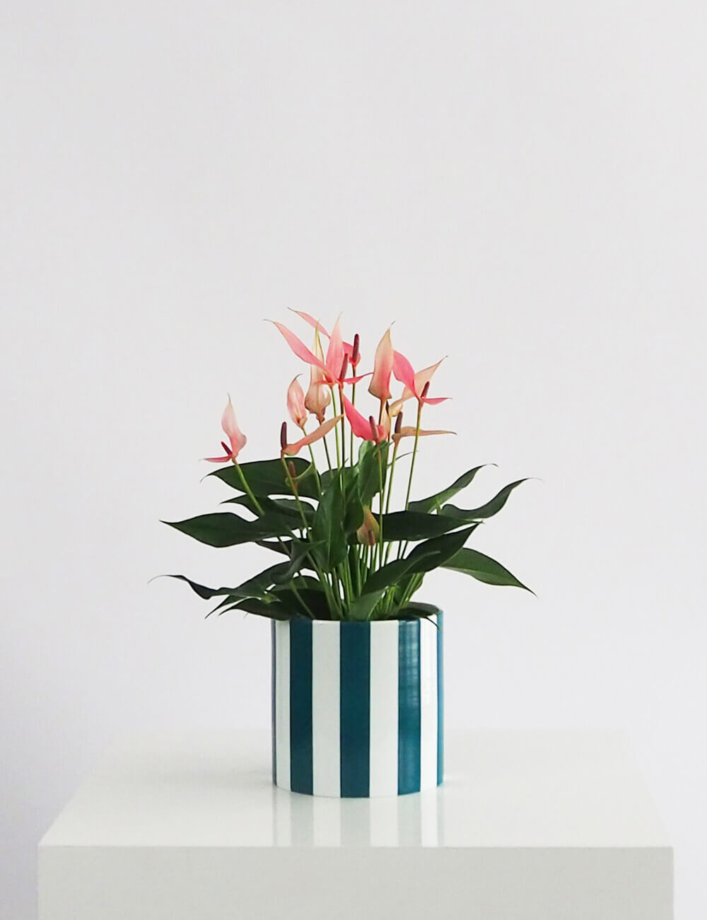 Vase turquoise porcelaine limoges