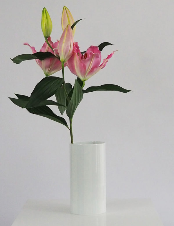 Vase blanc porcelaine limoges