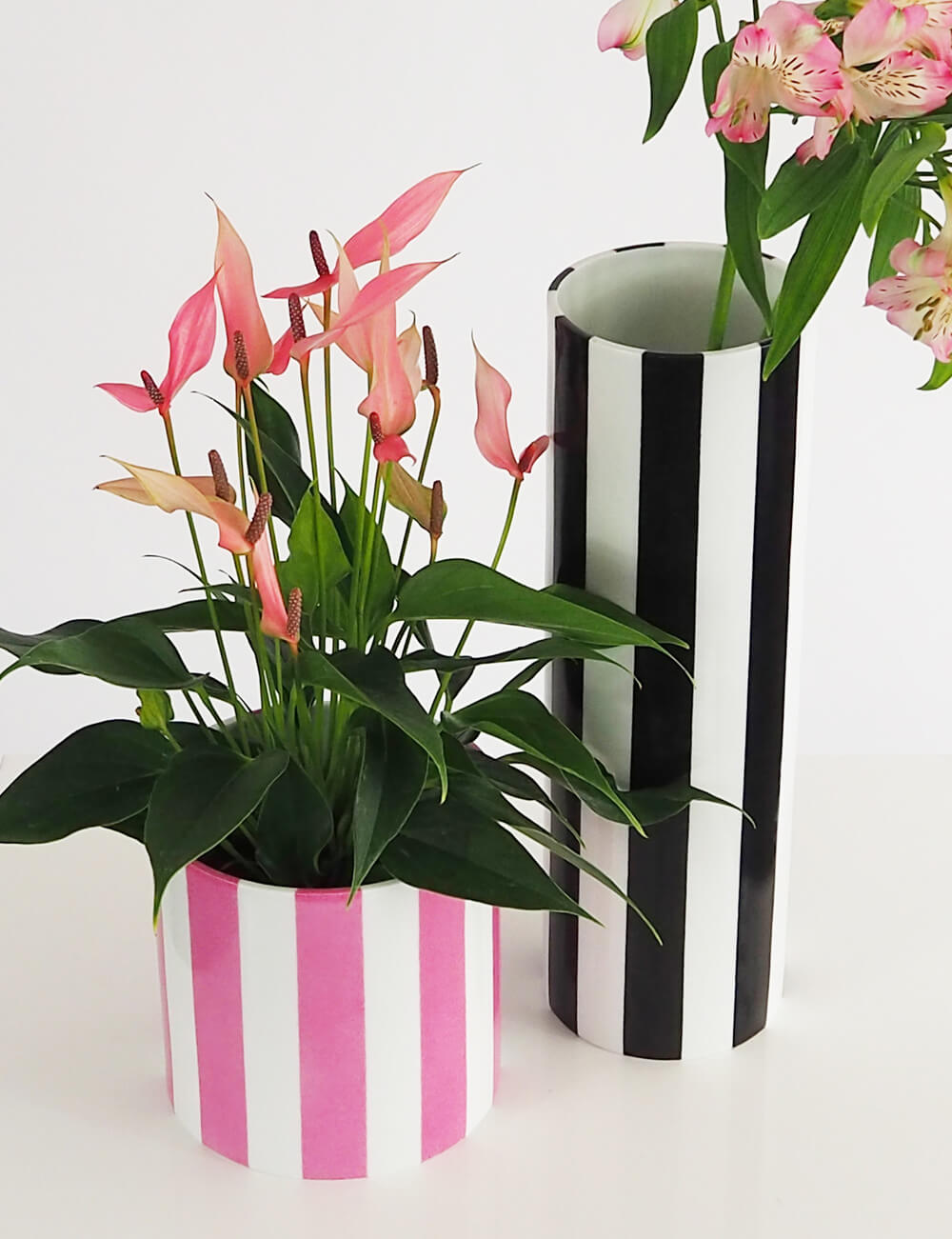 Vases duo noir et rose