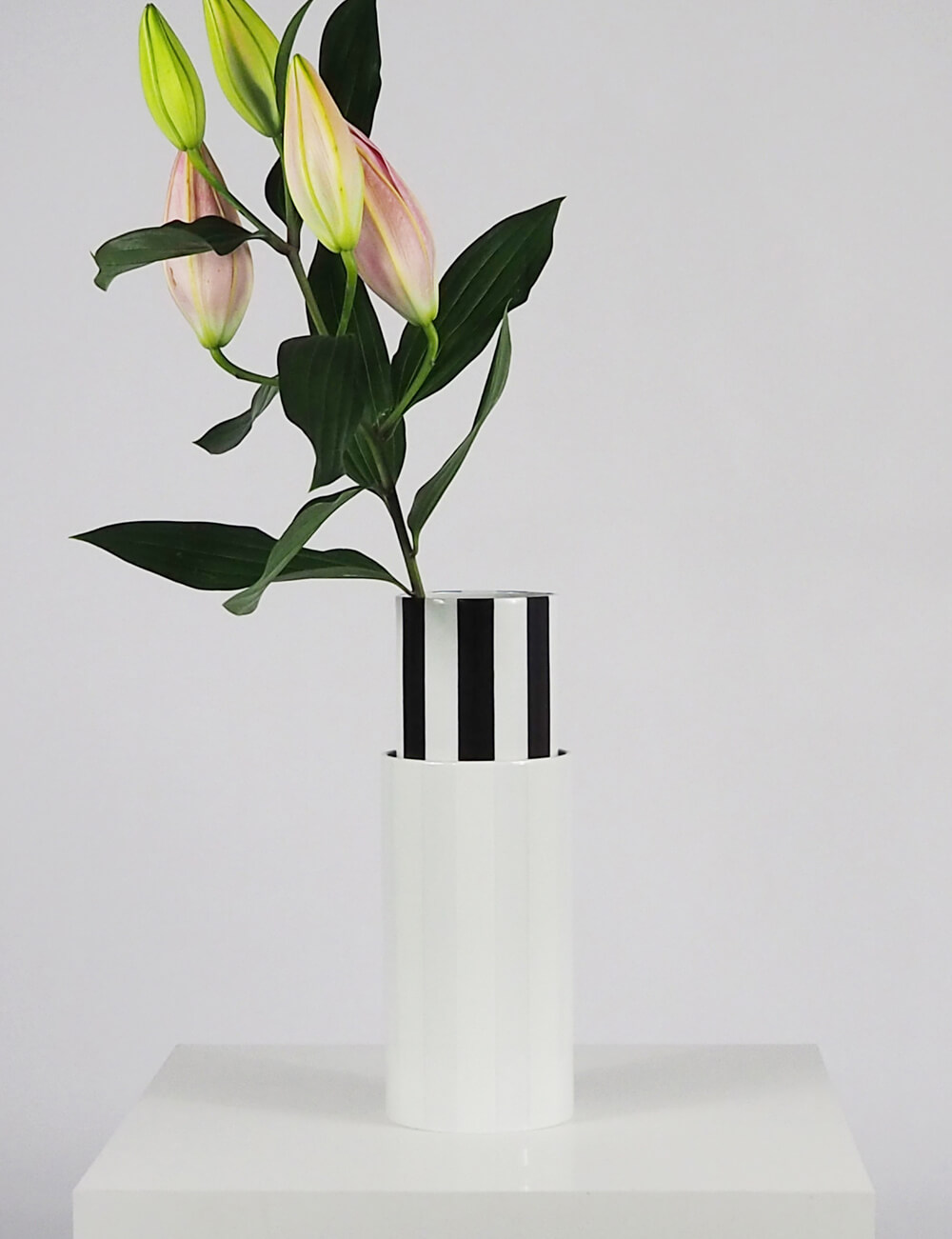 Vases duo blanc et noir