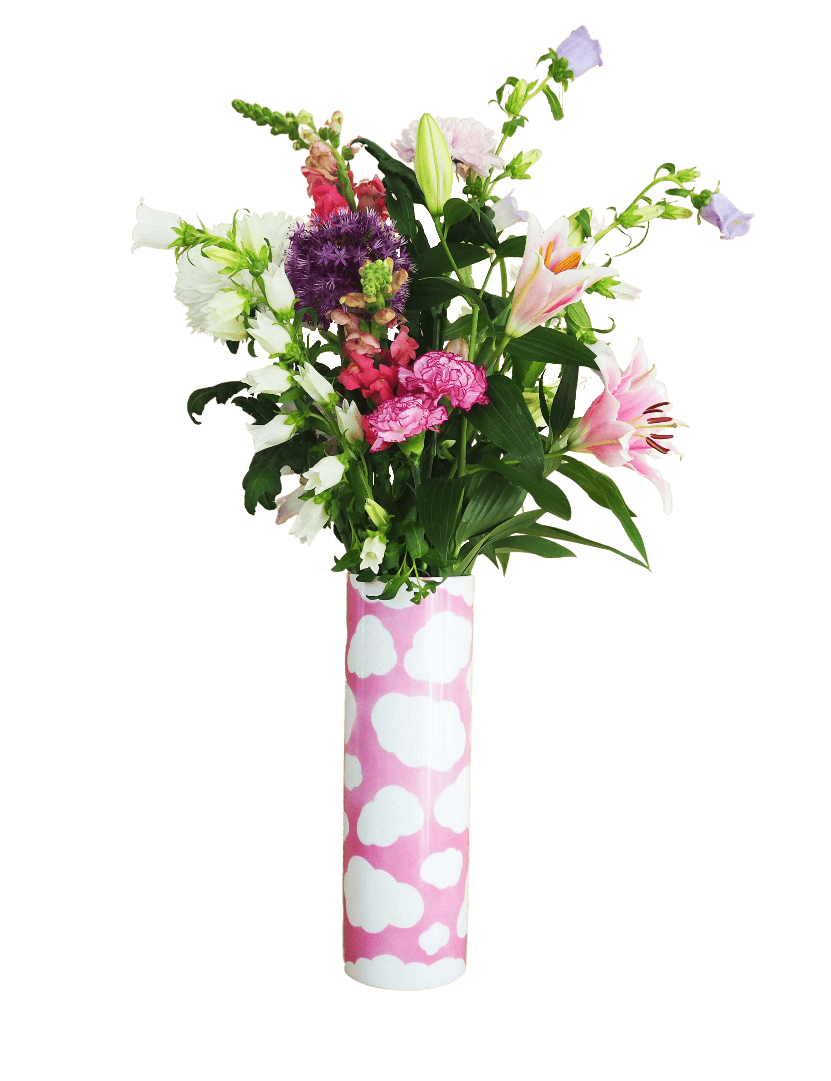 P1010021-removebg (3) - copie